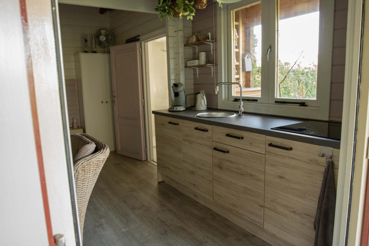 Chalet Ben In Broek Benningbroek Exterior foto