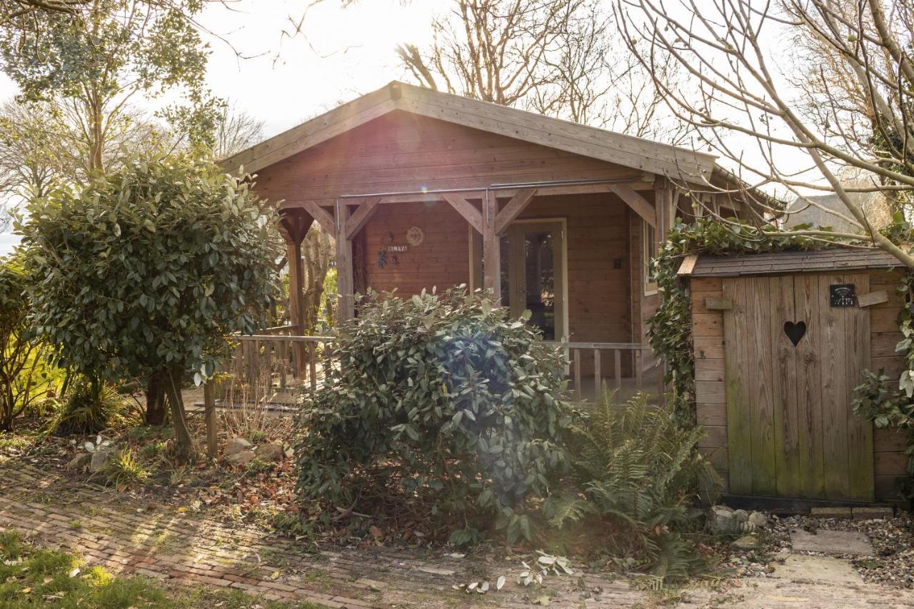 Chalet Ben In Broek Benningbroek Exterior foto